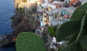 Tour Wandern Vernazza - Rando cinq Terre 4ème jour Vernazza-Riomaggiore - Photo 2
