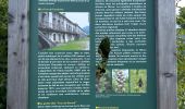 Trail Walking Claix - Colline de Comboire - Photo 11