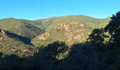 Tour Wandern Fréjus - Malpey avec pierre le 15/11/2024 - Photo 6