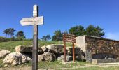 Tour Wandern Breil-sur-Roya - Mont Grazian - Photo 2