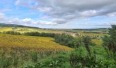 Randonnée Marche Nothalten - L'Abbaye de Baumgarten - Photo 16