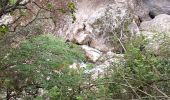 Randonnée Marche Mazaugues - Saut du Cabri gorges du Carami - Photo 3