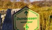 Tour Wandern De Haan - Les dunes boisées - Photo 5