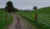 Trail Walking Blegny - SAIVE _ Marche Fédérale _ LG _ 5/11/2022 - Photo 4