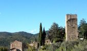 Tour Zu Fuß Gaiole in Chianti - Trekking tra i castelli 2 - Photo 8