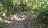 Trail Walking Reugny - Reugny - Vignes et Brenne - Photo 8