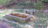 Excursión Senderismo Breitenbach - Col de la Charbonnière -Château de la Roche - Photo 3