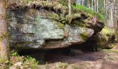 Randonnée Marche Lemberg - Lemberg - cascade des Ondines - sentiers des grottes et des étangs - Photo 16