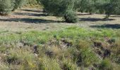 Tour Wandern Beaurecueil - refuge Cézanne  - Photo 1