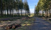 Trail Walking La Roche-en-Ardenne - Un petit tour dans les fagnes de la goutte en partant de Samree  - Photo 4