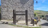 Excursión Marcha nórdica Les Salces - Boucle du Loup depuis les Salces - Photo 1