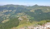 Tocht Stappen Saint-Jacques-des-Blats - Puy Griou depuis le Col de Font de Cère - Photo 11