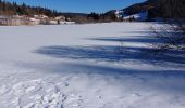 Trail Snowshoes Lamoura - Lac de Lamoura  - Photo 1