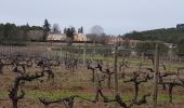 Trail Walking Les Arcs-sur-Argens - LES ARCS - DE SAINTE ROSELINE A VALBOURGES - Photo 5