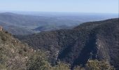 Tour Wandern Arles-sur-Tech - Col de Paracols depuis Arles sur Tech - Photo 4