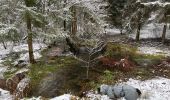 Excursión Senderismo Libramont-Chevigny - Granvoir (Libramont) - Photo 2