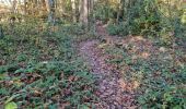 Randonnée Marche Vendôme - Forêt de Vendôme - Bois de l'Oratoire - Photo 4