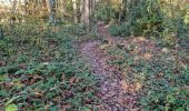 Percorso Marcia Vendôme - Forêt de Vendôme - Bois de l'Oratoire - Photo 4