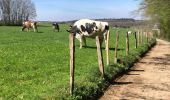 Tour Wandern Sprimont - Louveigne -andoumont-fraipont bis 12 Km - Photo 2