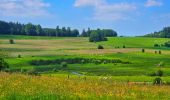 Tour Wandern Libramont-Chevigny - Balade à Remagne - Libramont-Chevigny - Photo 15