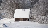 Randonnée Raquettes à neige Saint-Agnan-en-Vercors - Beure - Écondus - Photo 3