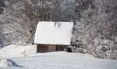 Tour Schneeschuhwandern Saint-Agnan-en-Vercors - Beure - Écondus - Photo 3