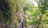 Randonnée Marche Thuès-Entre-Valls - Gorge de la Carança - Photo 2