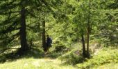 Trail Walking Névache - la vallée étroite, lac vert - Photo 6