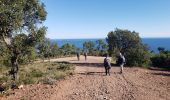 Tour Wandern Théoule-sur-Mer - Théoule, le rocher des Monges, N.D d'Afrique - Photo 18