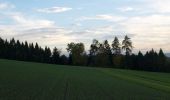 Tocht Te voet Lindau - Effretikon - Pfungen - Photo 4