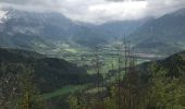 Tour Wandern Tréminis - Malraux Replat du Ménil  - Photo 2