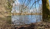 Tour Wandern Libramont-Chevigny - Bras bas 190321 - Photo 1