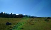 Tocht Stappen La Chapelle-en-Vercors - la Sarna /Roche Rousse - Photo 1