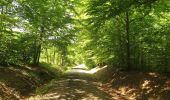 Tocht Te voet Königsberg in Bayern - Wolftour Altershausen - Photo 1