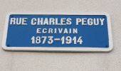 Trail Walking Palaiseau - Le chemin de Peguy Etape 1  - Photo 1