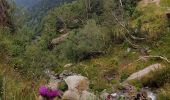 Tour Wandern Valmanya - Balcon du Canigou - Photo 3