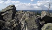 Tour Zu Fuß Osterode am Harz - Harzklub-Weg 10L - Photo 2