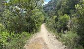 Trail Walking Quinson - Quinson Verdon 13 km - Photo 4