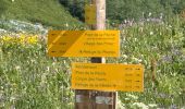 Trail Walking Pralognan-la-Vanoise - Pralognan - lac blanc  - Photo 3