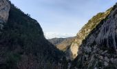 Randonnée Marche Estoublon - estoublon sentier des oliviers gorges trevans 21k 950m  - Photo 3