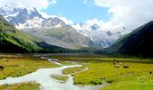 Tour Zu Fuß Samedan - Roseg - Chamanna Coaz - Photo 7