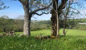 Randonnée Marche Laguiole - Laguiole à Saint Urcize - Photo 1