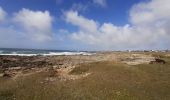 Tocht Stappen Quiberon - presqu'île de Quiberon sud - Photo 13