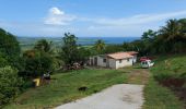 Excursión Senderismo Le Vauclin - Boucle Macabou via Morne Flambeau - Photo 13