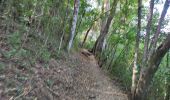 Tocht Stappen Le Vauclin - 2eme parcours de la pointe du vauclin et trou cochon  - Photo 6