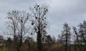 Tour Wandern Chaumont-Gistoux - #240216 - Bonlez, Aftia, Bruyères, Champ des Goffes - Photo 9