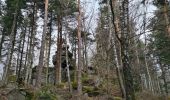 Tour Wandern Wangenburg-Engenthal - Le Hengst - Photo 17