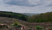 Tocht Stappen La Roche-en-Ardenne - la roche - rendeux - la roche - Photo 6