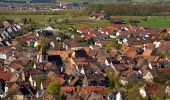 Tocht Te voet Vaihingen an der Enz - VE4 Eselsberg-Rundweg - Photo 6