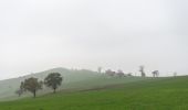 Percorso A piedi Scandiano - Anello di Ca' de Caroli - Photo 8